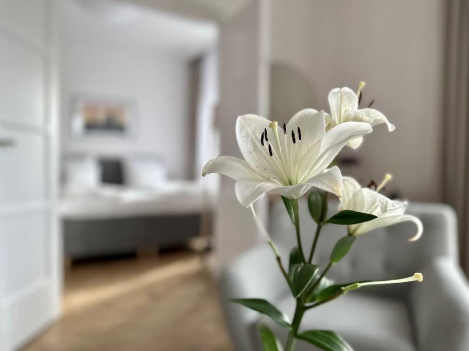 Premium Apartment By Hi - Central 2 Bedroom - Best View Budapest Exterior foto